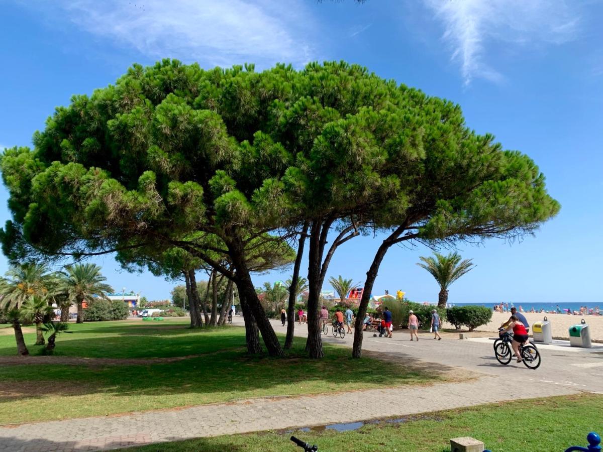 Superbe Appartement Neuf Entre Mer Et Pins Wifi Argelès-sur-Mer Buitenkant foto