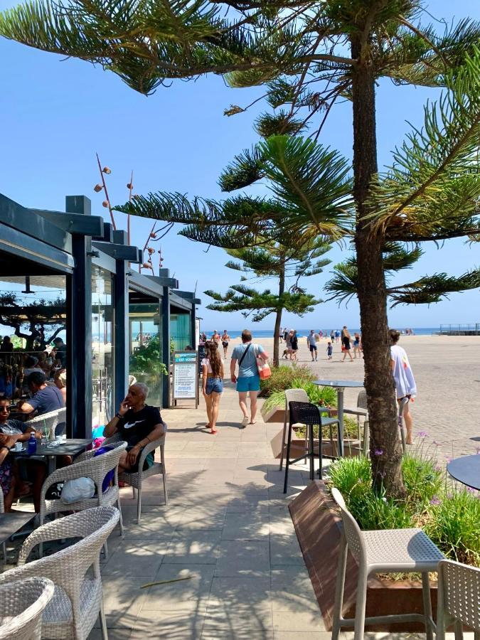 Superbe Appartement Neuf Entre Mer Et Pins Wifi Argelès-sur-Mer Buitenkant foto